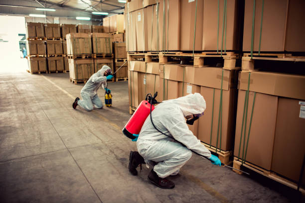 Best Best Pest Control Companies  in Hamburg, NJ