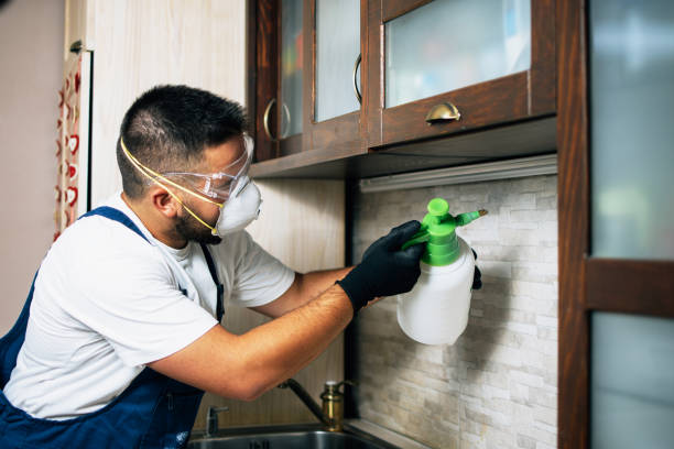 Best Insect Control  in Hamburg, NJ