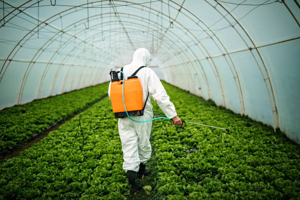 Best Mosquito Control Services  in Hamburg, NJ