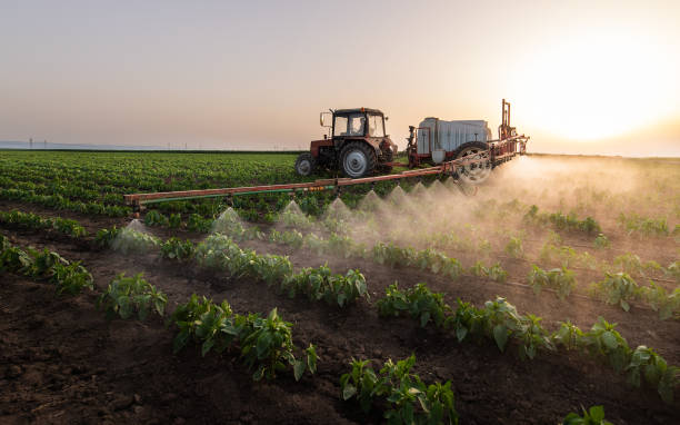 Best Mosquito Control Services  in Hamburg, NJ