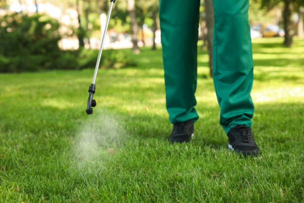 Best Local Pest Control Services  in Hamburg, NJ