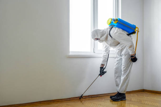 Best Cockroach Control Services  in Hamburg, NJ