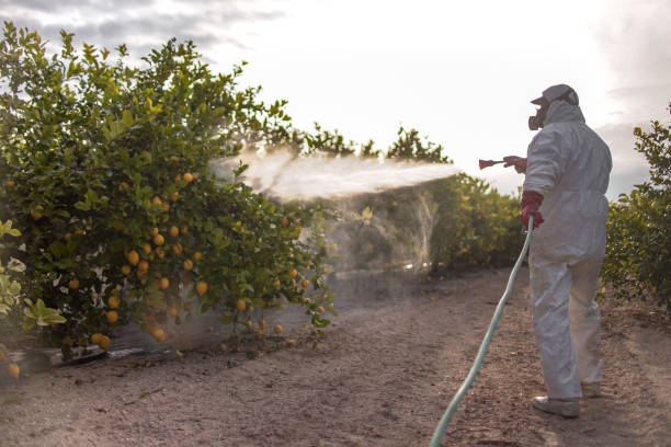 Best Best Pest Control Companies  in Hamburg, NJ