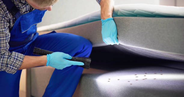 Best Affordable Pest Control Services  in Hamburg, NJ