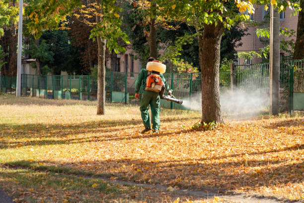 Best Affordable Pest Control Services  in Hamburg, NJ