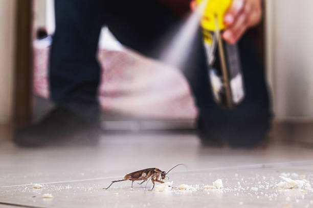 Best Commercial Pest Control Services  in Hamburg, NJ